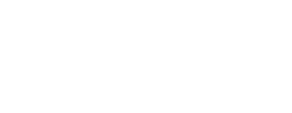 Horizontal Imagotype Nroute White