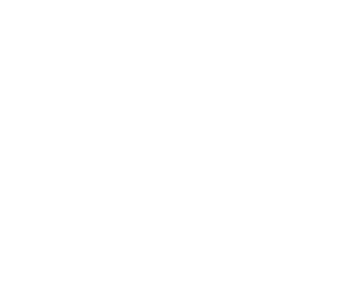 Imagotype Nroute White